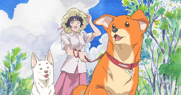 SkySet to Stream Go Forward, Make English Dub